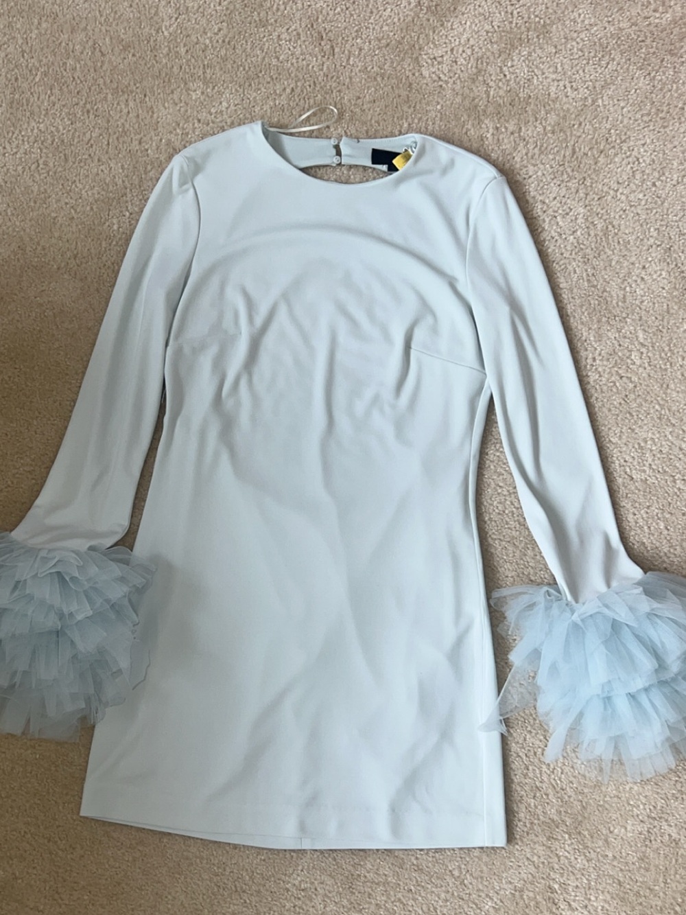Viral Zara Powder Blue Long-Sleeve Mini Dress with Tulle Cuffs